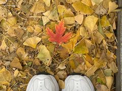 -辽宁大学(崇山校区)