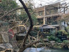 -杭州植物园