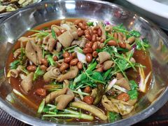 -石岐乳鸽村(南海第三分店)