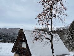 -白川乡与五箇山的合掌构造村落