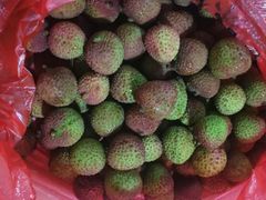 -港华水果街(港华广场店)