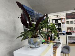 -龙膜全球臻选店·汽车贴膜·隐形车衣(北京琪朗店)