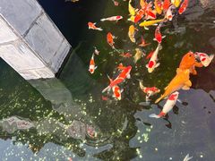 -长春观