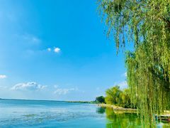 -蟹天蟹地农家菜·阳澄湖大闸蟹(浅水湾店)