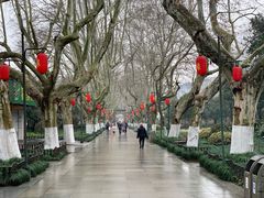 -杭州黄龙洞