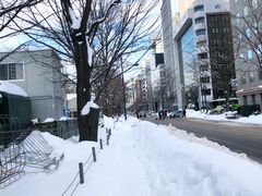 -大通公园