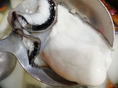 -濠轩阁特色生蚝火锅(水湾路店)