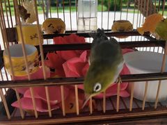 -安苑北里小区