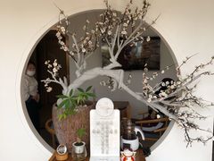 -不凡脑禅境·养生·舒压调理SPA(华发世纪城店)