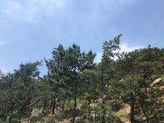 -崂山仰口游览区