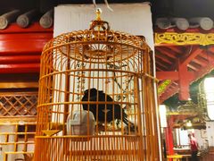 -清真·京华源铜锅涮肉(丰庆店)