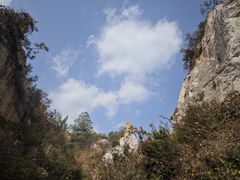 -彩色沙林风景区