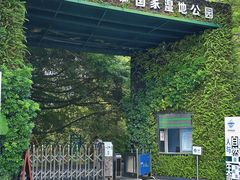 -华侨城湿地公园