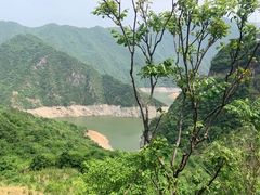 -黑河国家森林公园