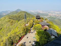 -杭州半山国家森林公园