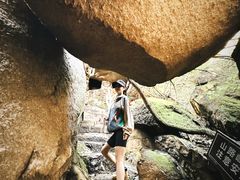 -鲁山国家森林公园