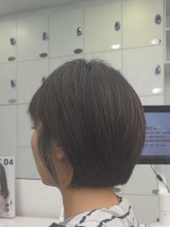 -YESIDO椰岛造型