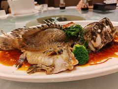 -绿岛国际酒店·海鲜酒楼(八七路店)