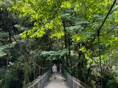 -西岭雪山大飞水景区