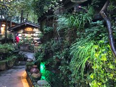 -青城甲(青城山店)