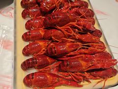 -肥肥虾庄·金牌油焖大虾(汉口城市广场店)