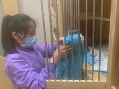 -康旭宠物医院(郑州总院)