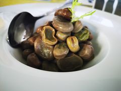 -菩提树·素食餐厅(汇智国际商业中心店)