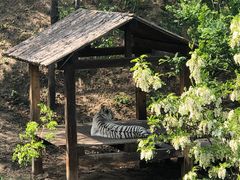 -石家庄市动物园