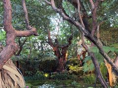 -Chom Cafe and Restaurant