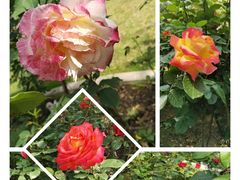 -元大都城垣遗址公园