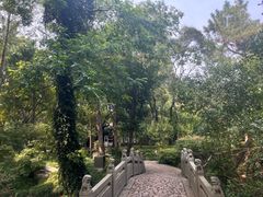 -汇龙潭