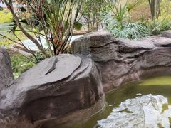 -花水湾第一村温泉大酒店