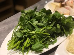 -张凯达·深海石斑鱼潮汕火锅(十五年品牌•虹桥天街店)