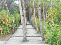 -帽儿山国家森林公园