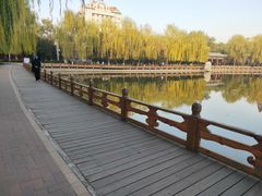 -金城公园
