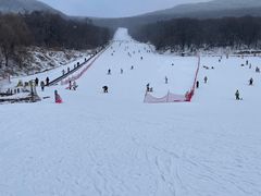 -五家山森林公园滑雪场