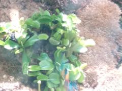 -北京植物园-展览温室