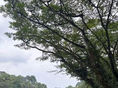 -新加坡总统府
