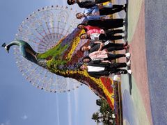 -七彩云南欢乐世界