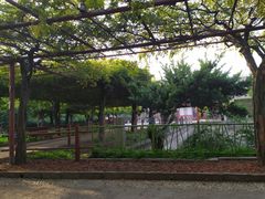 -嘉定紫藤园