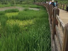 -泸沽湖国家级风景名胜区走婚桥