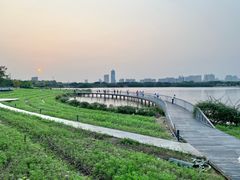 -海珠湖公园