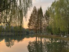 -洋湖国家湿地公园