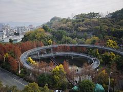 -福道