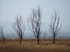 -怀来官厅水库