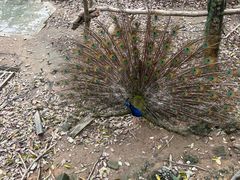 -福州动物园