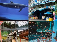 -海合安成都极地海洋公园