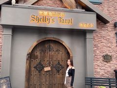 -雪灵魔法世界SHELLY’S TAROT(大良桂畔里店)