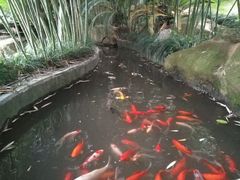 -竹吟山房