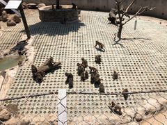 -西安秦岭野生动物园